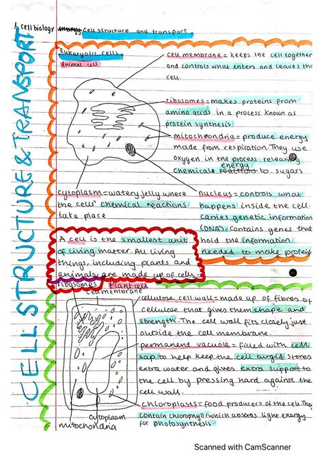 Solution Gcse Biology Cell Structure And Transport Notes Studypool