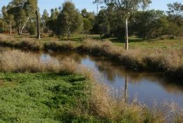 Meekatharra, WA - Aussie Towns