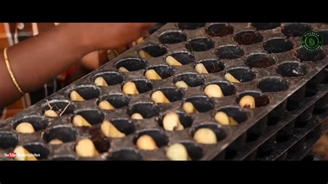 Sugarcane Seed Production | Sugarcane Planting Methods | Sugarcane Farming / Sugarcane ...