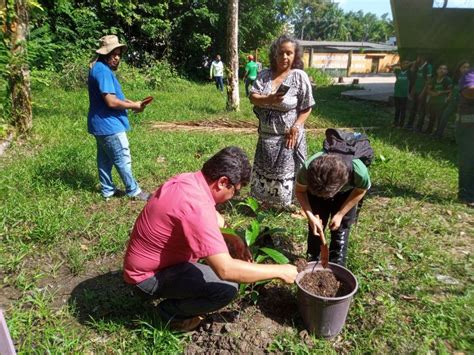 Estudantes E Servidores Plantam Mudas Na Funbosque Para Celebrar O Dia