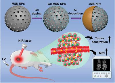 Schematic Illustration Of Preparation Process Of JMS Nanomotors And The