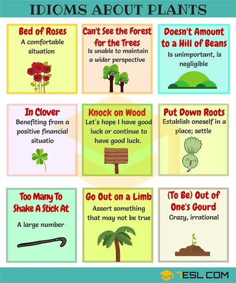 Common Nature Idioms In English With Meaning And Examples 7 E S L