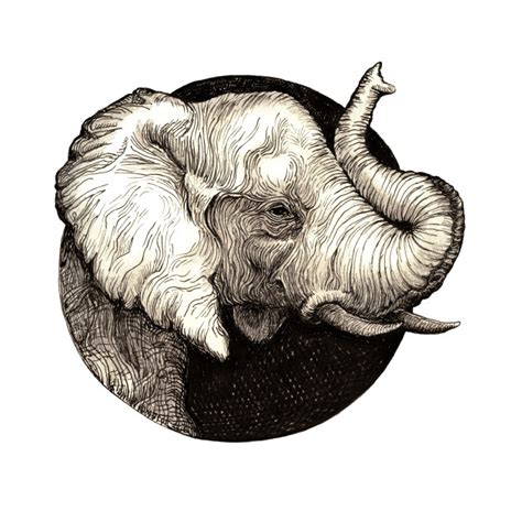 Drawings Of Elephants With Trunk Up at PaintingValley.com | Explore collection of Drawings Of ...