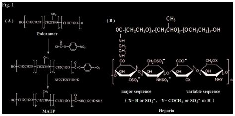 A Synthetic Route Of Amine Terminated Poloxamer B Chemical