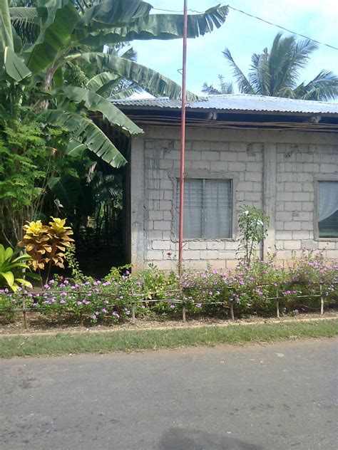 FIXER UPPER HOUSE FOR SALE - PhilX-Pat Real Estate