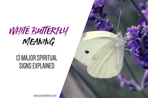 13 Spiritual Meanings of Seeing a White Butterfly