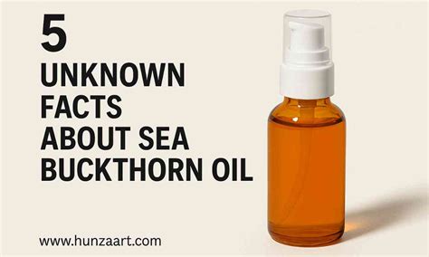 unknown facts  sea buckthorn oil    hunza art