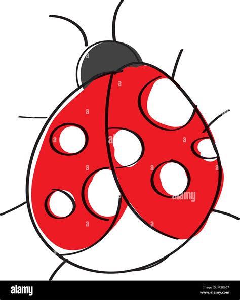 Lindo Insecto Ladybug Fauna Icono Imagen Vector De Stock Alamy