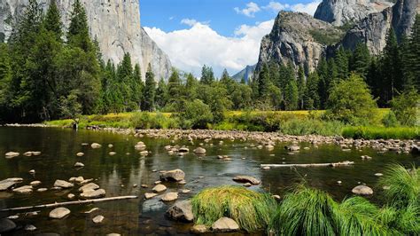 Rzeka Merced River Na Tle G R Sierra Nevada