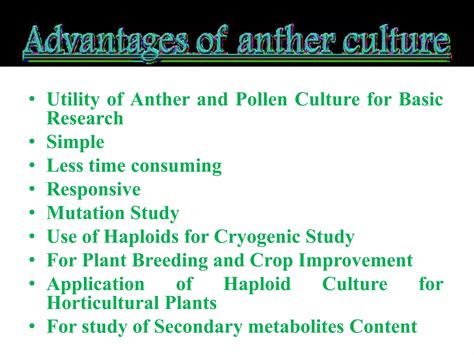 Anther Culture Ppt