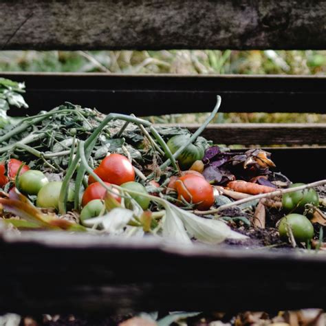 Different Composting Methods Achieve Garden Glory