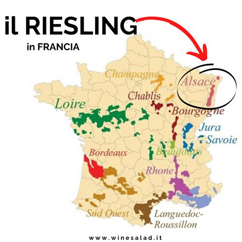 Riesling Il Maestro Dei Vini Bianchi Wine Salad