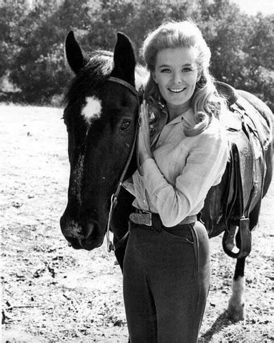 Linda Evans holding her horse as Audra Barkley The Big Valley 8x10 inch ...