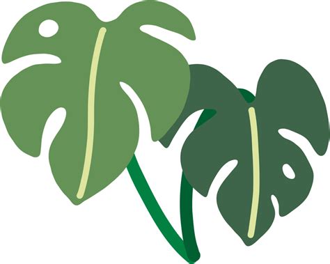 Boho Monstera Leaf Freehand Drawing Flat Design Png