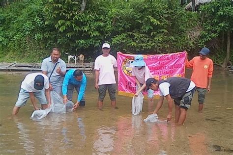 PIA - 30K tilapia fingerlings, pinakawalan sa communal water ng isang ...