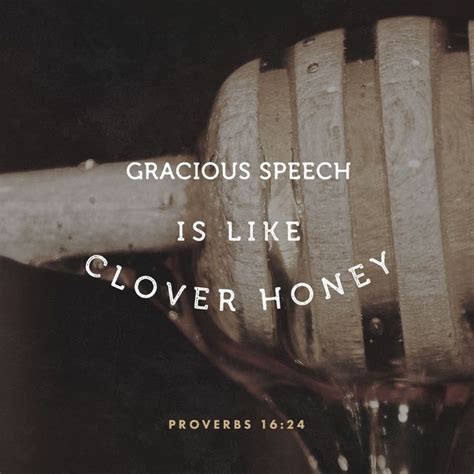 Proverbs 16 24 NIV Gracious Words Are A Honeycomb Sweet To The Soul