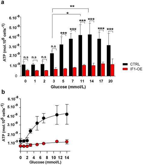 A Cellular Atp Levels In If1 Overexpressing And Control Ins 1e Cells Download Scientific