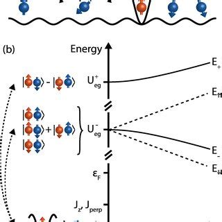 Color Low Energy Spin Dynamics In The HubbardAnderson Model A