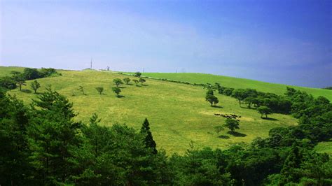 岩手県気仙郡住田町│ふるさと納税楽天ショップ