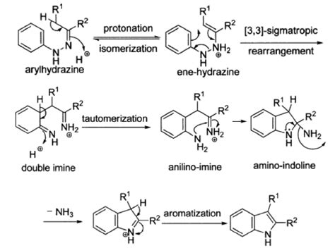 Fischer Indole Synthesis Definition Reaction Mechanism Drawbacks