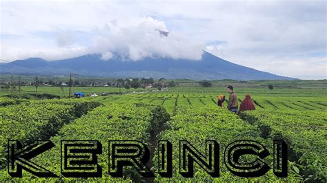 Kebun Teh Kayu Aro Kerinci Youtube