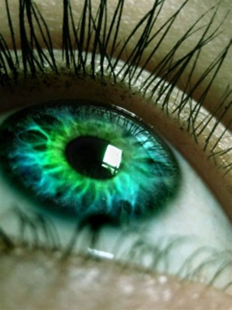 green eyes - People With Green Eyes Photo (24760259) - Fanpop