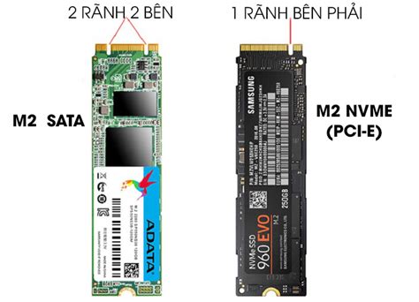 Tìm Hiểu Các Loại ổ Cứng Ssd Msata M2 Sata M2 Nvme Pcie