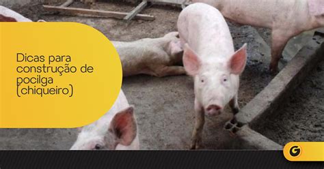 O Que Significa Pocilga