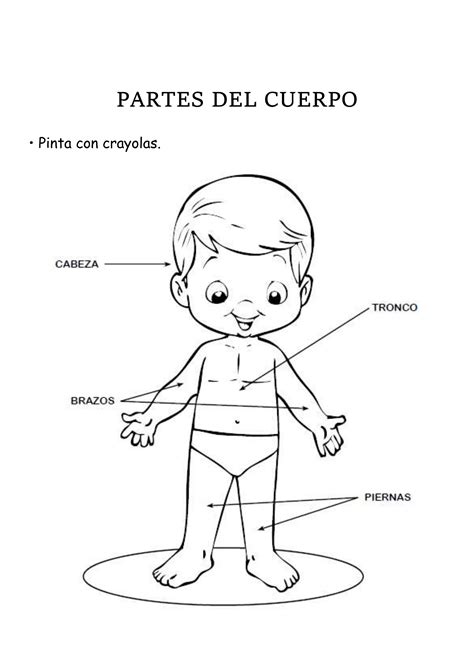 Cuidado Del Cuerpo Para Niños 7