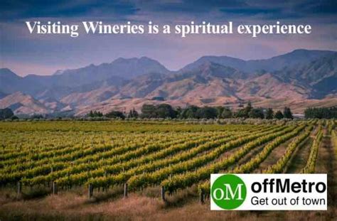 5 Best Wine Tours In New Zealand | offMetro World