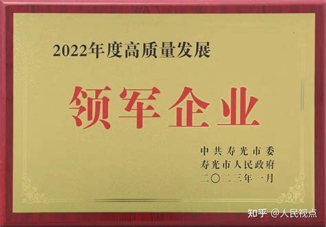 晨鸣集团荣获“2022年度高质量发展领军企业”称号 知乎