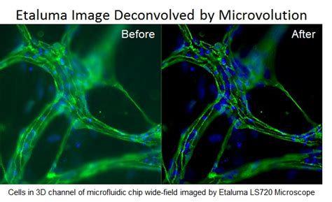 Microvolution Deconvolution Software - Etaluma, Inc.