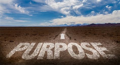 The Quest For Leadership Purpose Knowing Your Purpose Unbridling