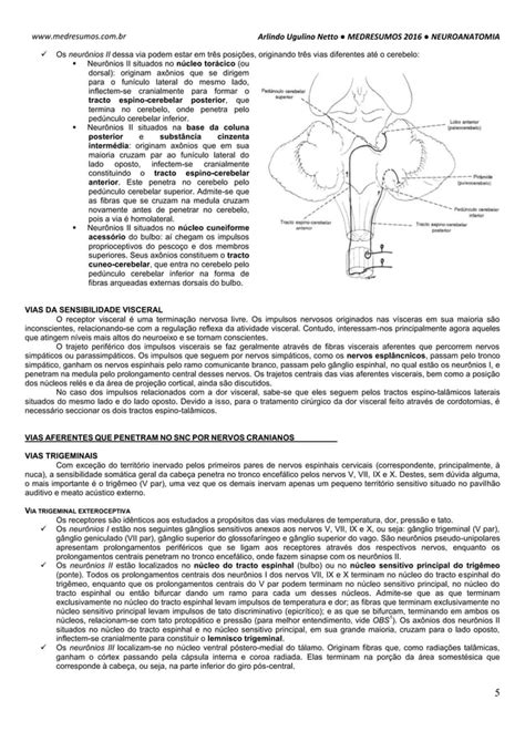 Medresumos 2016 Neuroanatomia 20 Grandes Vias Aferentes