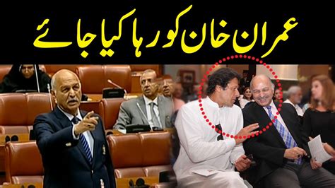 Release Imran Khan And Give Pti Reserve Seats Pmln Senator Mushahid