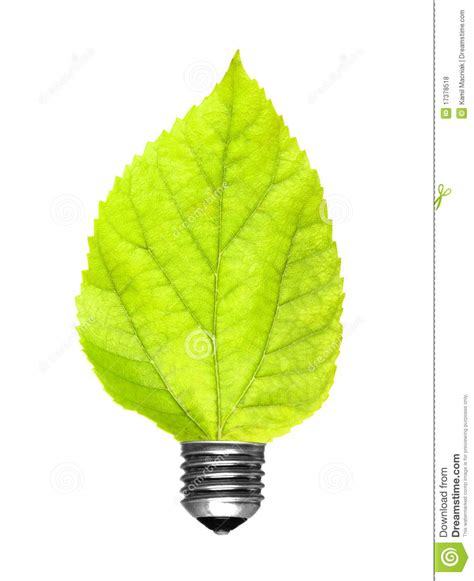 Leaf Bulb Stock Photo Image Of Bulb Energy Conceptual 17378518