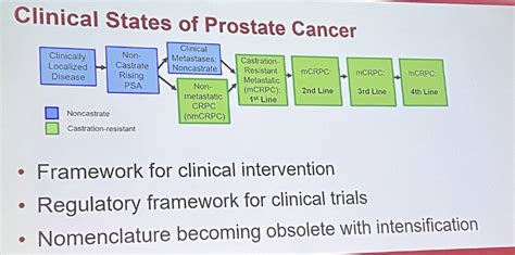 Aua 2023 Updates On Clinical Trials In Prostate Cancer