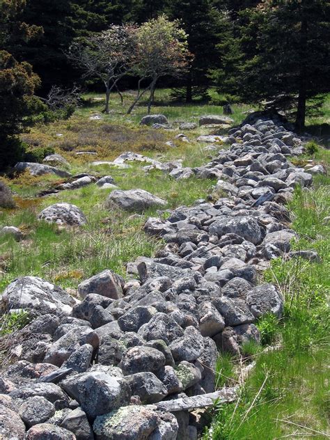 Free Images Landscape Forest Grass Rock Trail Countryside