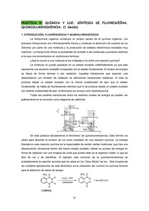 Lab Quimica Inorganica Organica Practica N Practica N