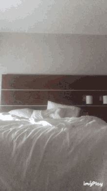 Jump In Bed Bed GIF - Jump In Bed Bed - Discover & Share GIFs