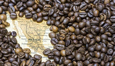 Café de Puebla: Uno de los mejores en México - ¡Puebla en el Mundo!