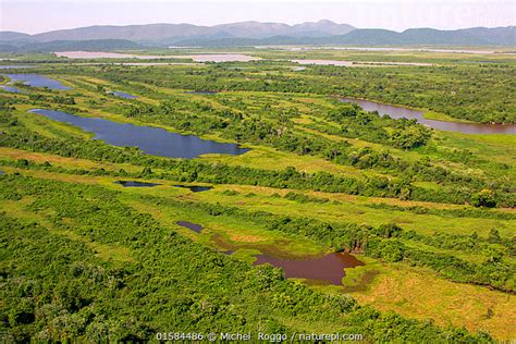 Stock photo of Aerial view of the Pantanal, end of the dry season, area ...