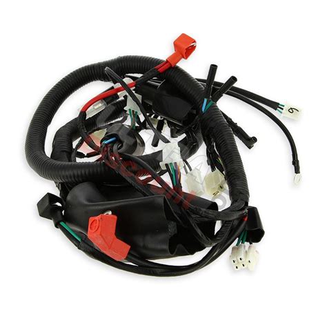 Wire Harness For Atv Shineray Quad Cc St E Ignition Shineray