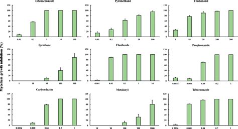 Identification And Fungicide Sensitivity Of Microdochium Chrysopogonis