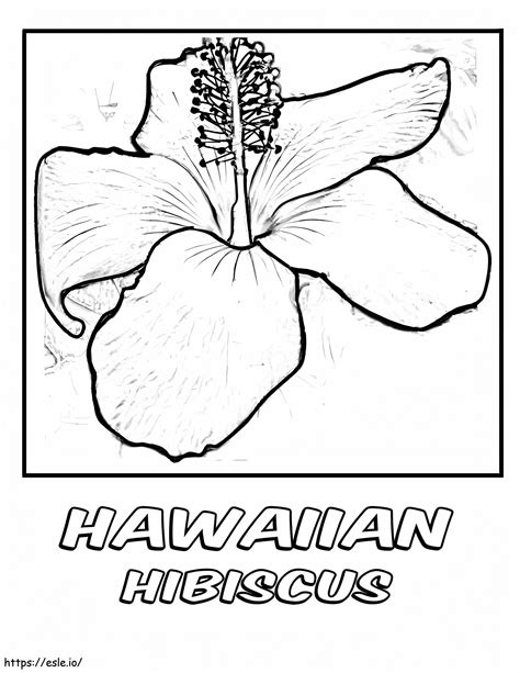 hawaiian flower name 5