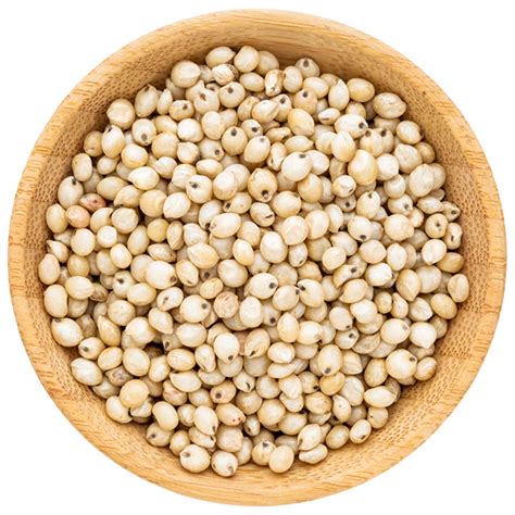 White Sorghum Grain South Africa Price Supplier Food