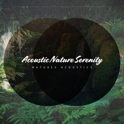 Acoustic Nature Serenity Album By Natures Acoustics Spotify