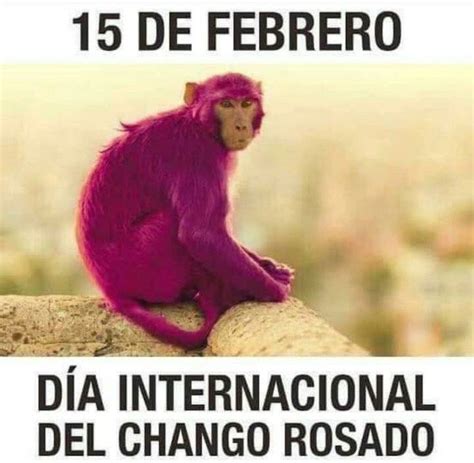 Día Internacional del Chango Rosado por qué se le conoce así al 15 de