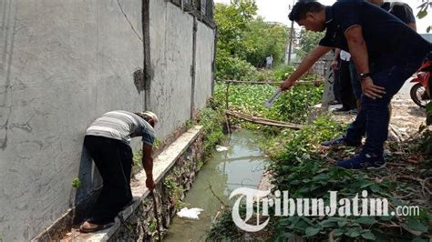 Geger Temuan Mayat Janin Perempuan Di Parit Jalan Di Sidoarjo Kondisi