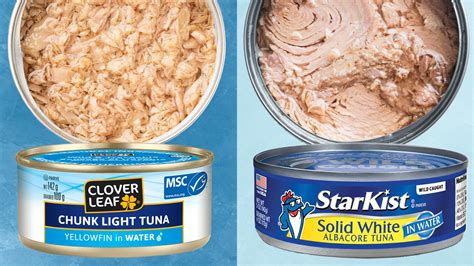 Yellowfin Vs Albacore Canned Tuna Whats The Distinction Street